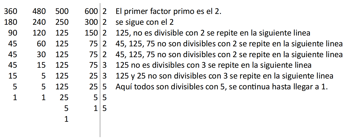 Como Se Descompone Un Numero En Factores Primos